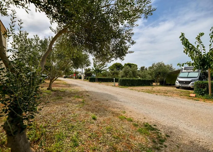 Mobile Homes At 2*
