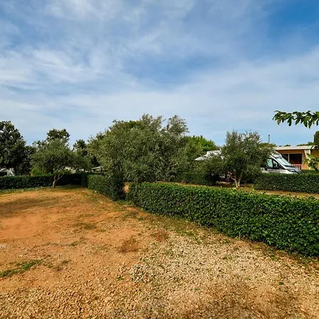 Mobile Homes At אתר קמפינג אוגייאן