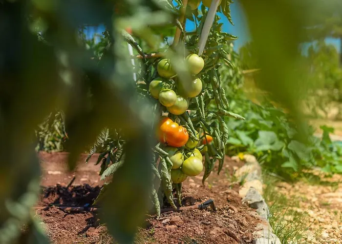 Mobile Homes At 2* Углян